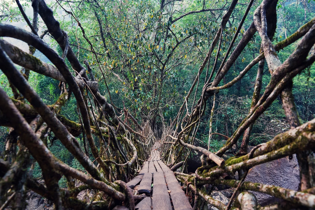 Meghalaya Tour Package Meghalaya tour from kerala