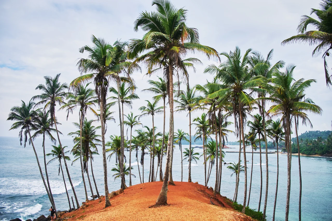 Sri Lanka Tour Package Sri Lanka tour from kerala