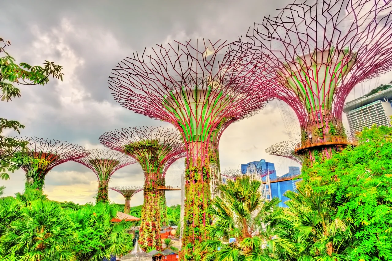 Singapore Tour Package Nature Park in Singapore