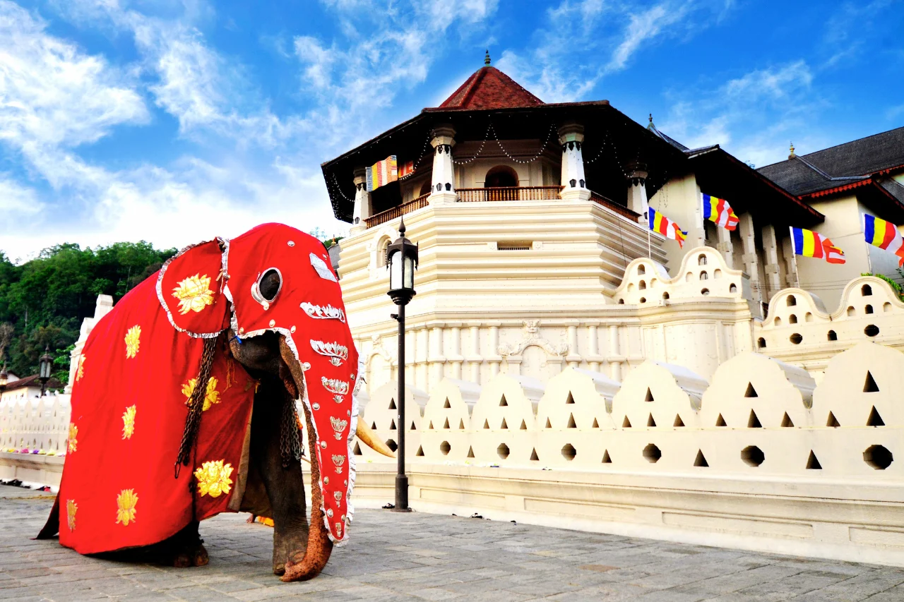 Sri Lanka Tour Package Sri Lanka tour from kerala