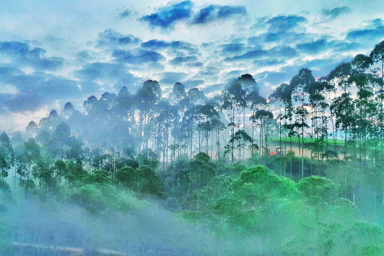 Munnar Thekkady Alleppey Tour Package Munnar tour from kerala