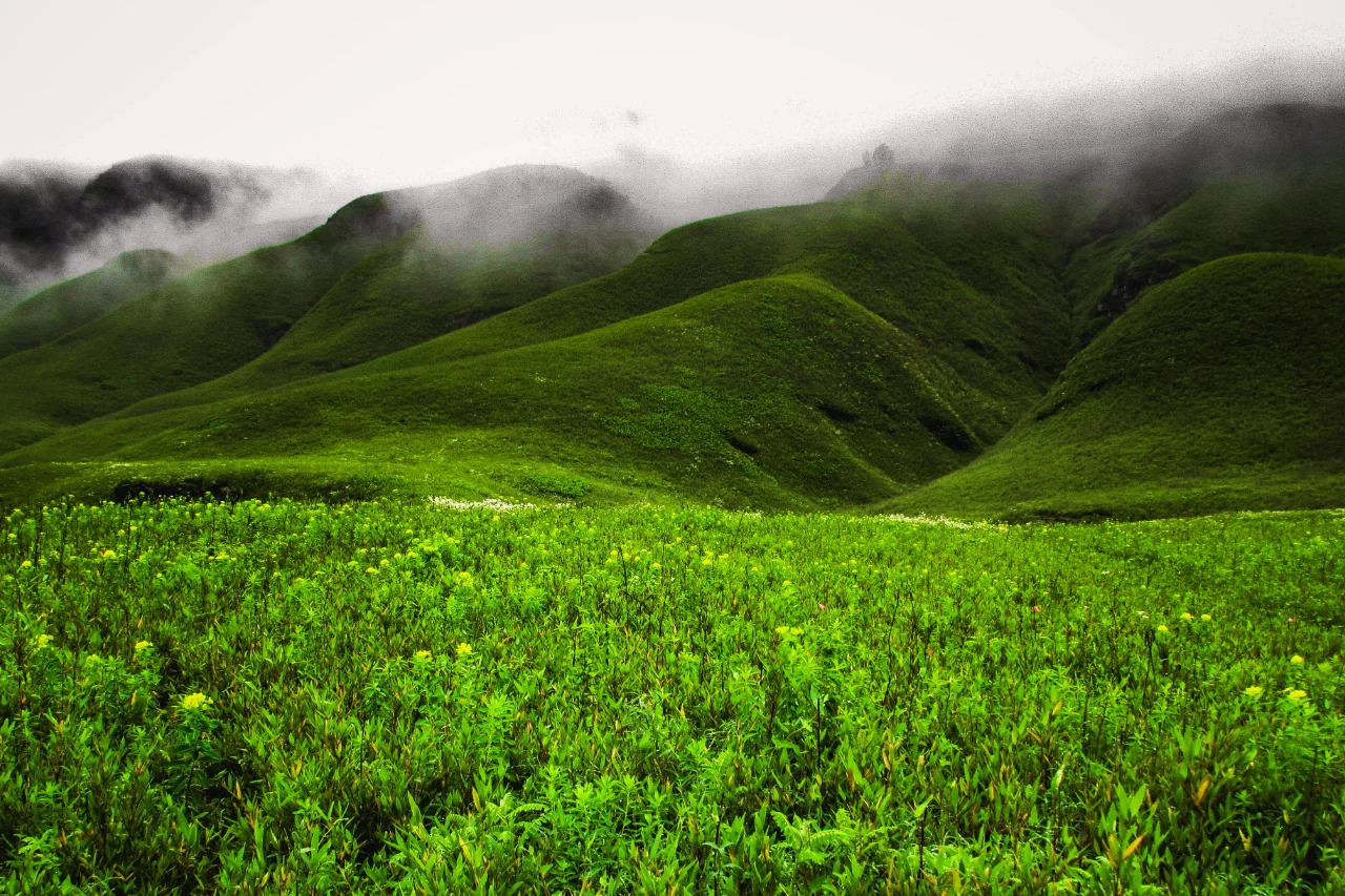 Nagaland Tour Package Nagaland tour from kerala