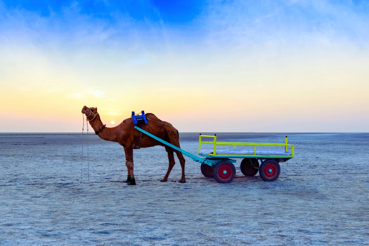Rann of Kutch Tour Package Gujarat tour from kerala