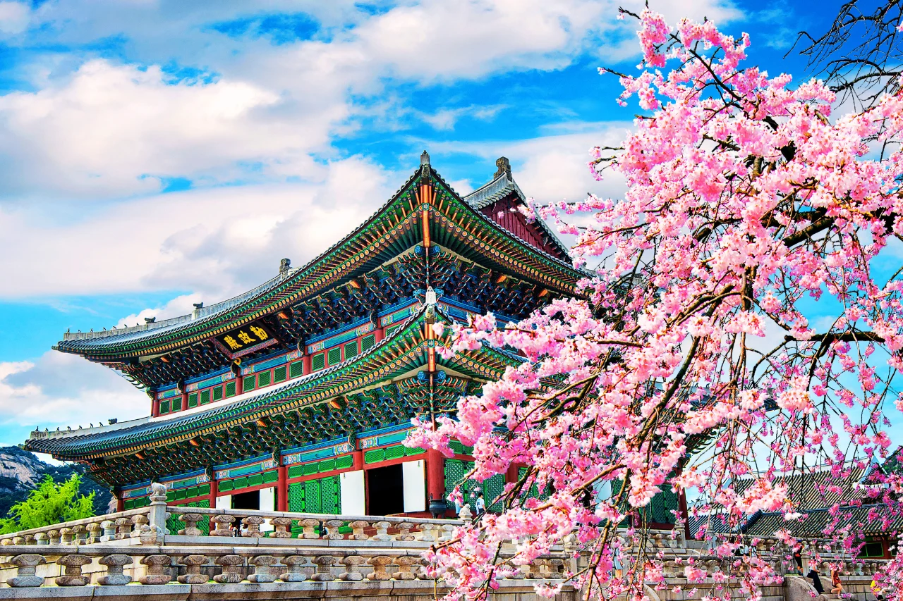 South Korea Tour Package South Korea tour from kerala