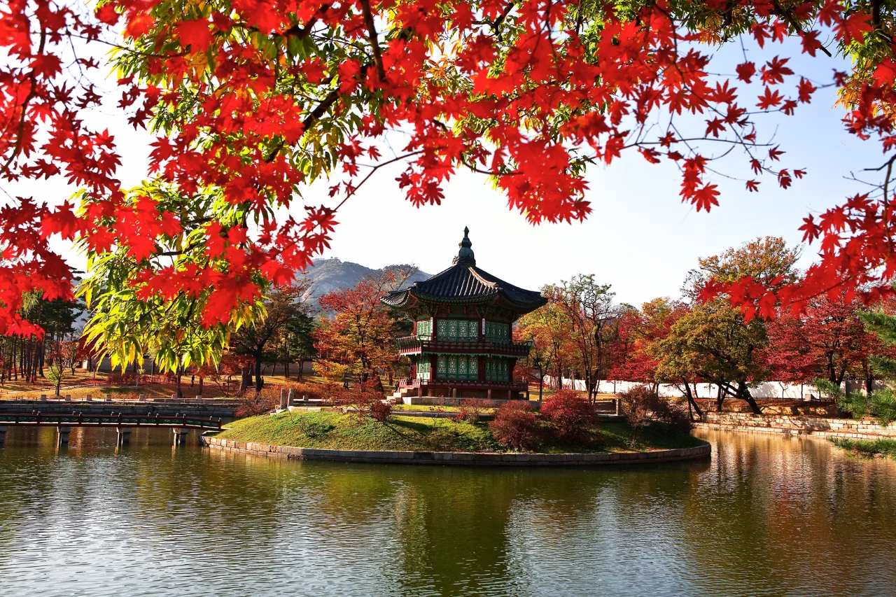 South Korea Tour Package South Korea tour from kerala