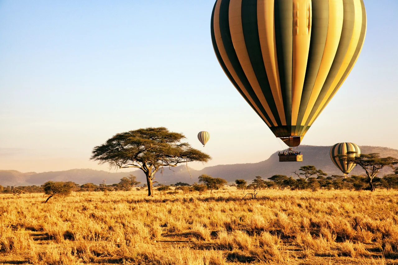Kenya and Tanzania Tour Package Kenya & Tanzania tour from kerala