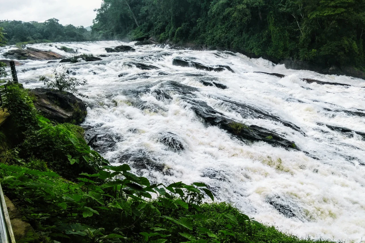 Athirapilly Valparai Tour Package Athirapilly Valparai tour from kerala