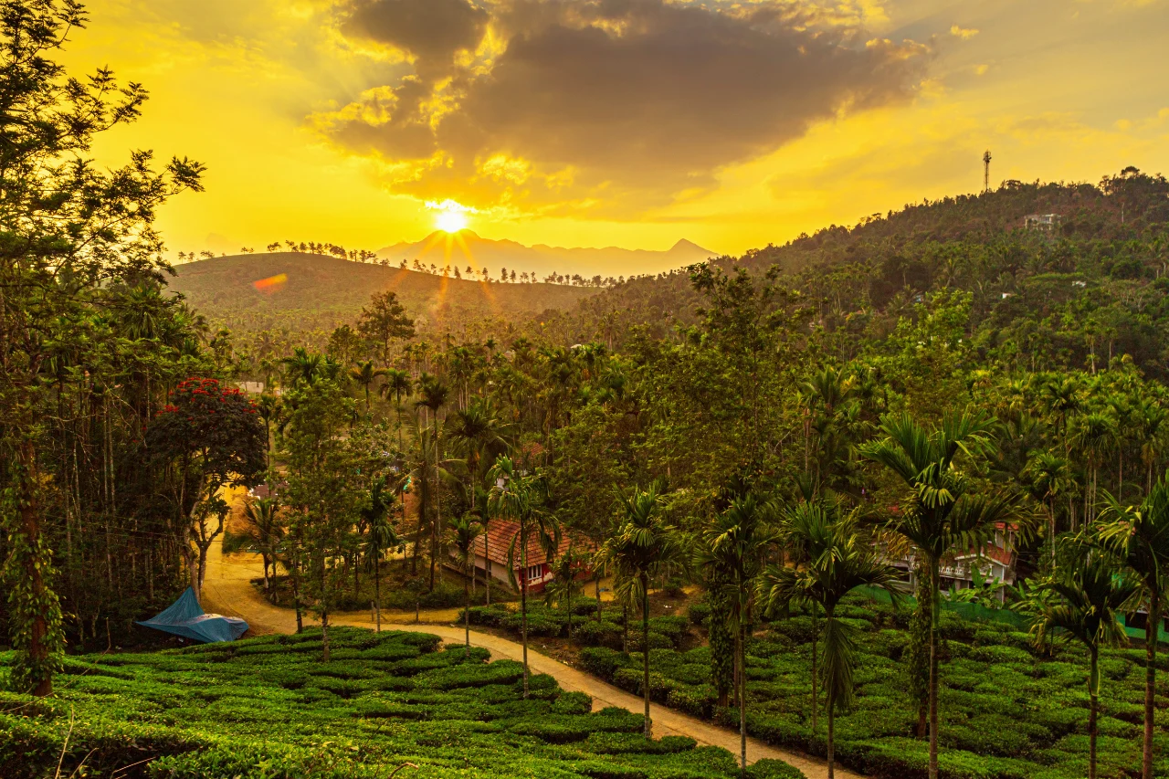 Wayanad Tour Package Wayanad tour from kerala