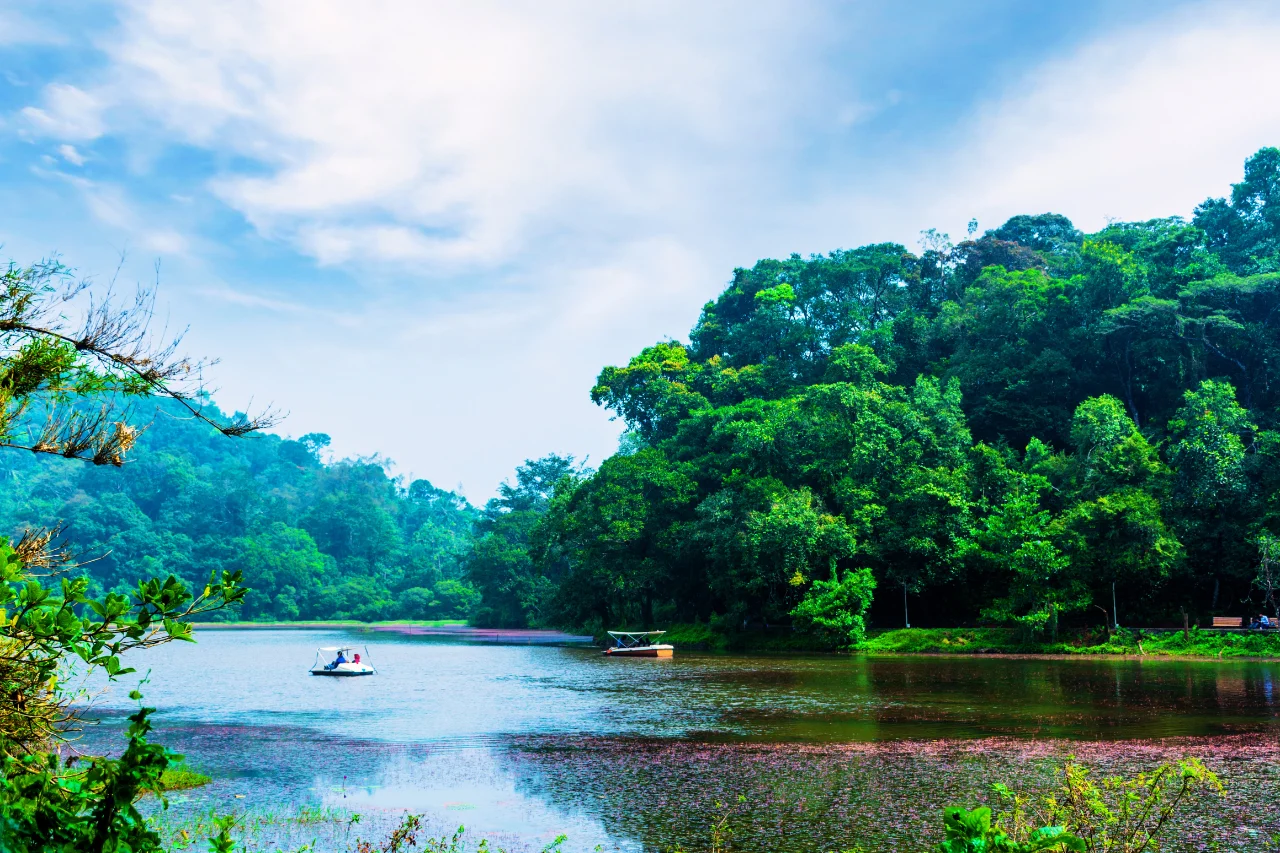 Wayanad Tour Package Wayanad tour from kerala